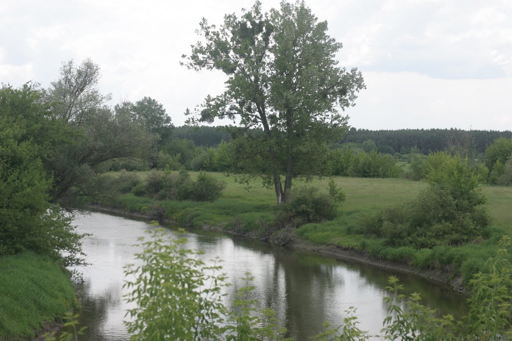 Przyroda nad Bugiem