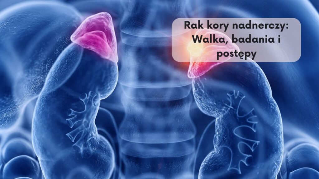 Rak kory nadnerczy: Walka, badania i postępy
