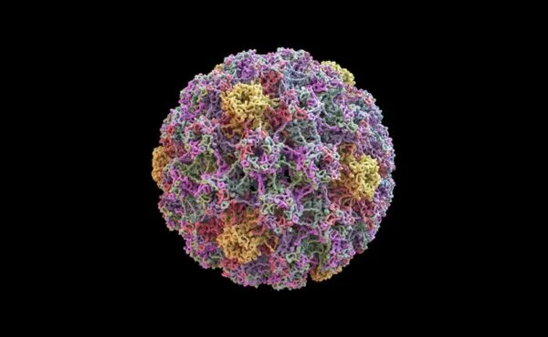 Wirus HPV