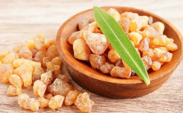 Boswellia