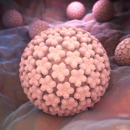 Infekcja wirusem HPV