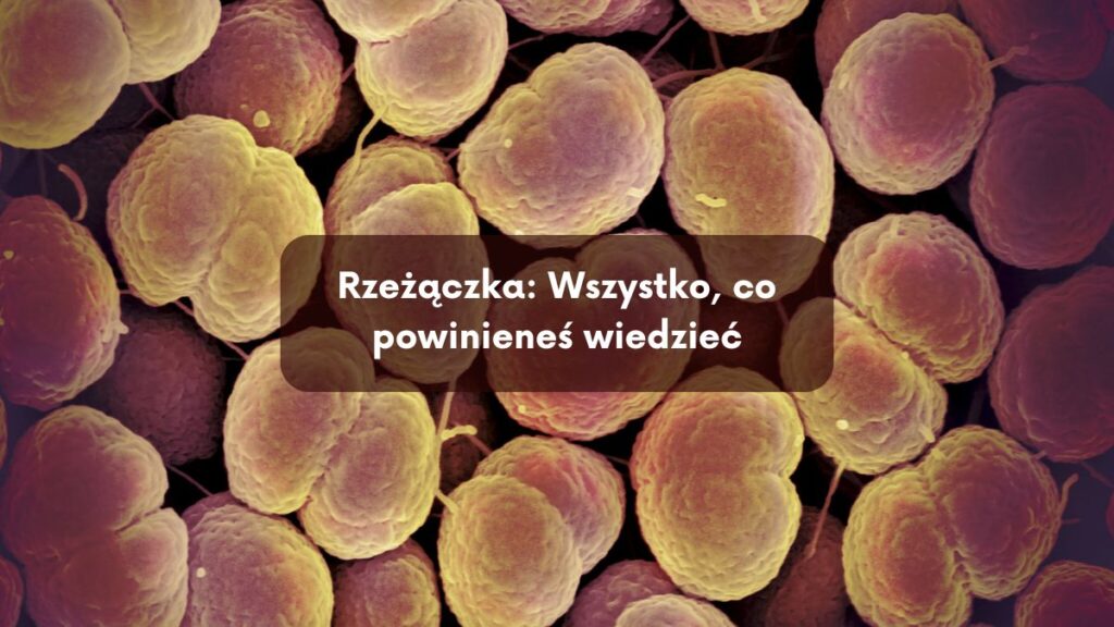 Rzeżączka: Wszystko, co powinieneś wiedzieć