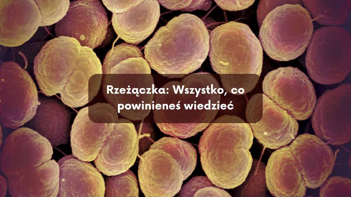 Rzeżączka: Wszystko, co powinieneś wiedzieć